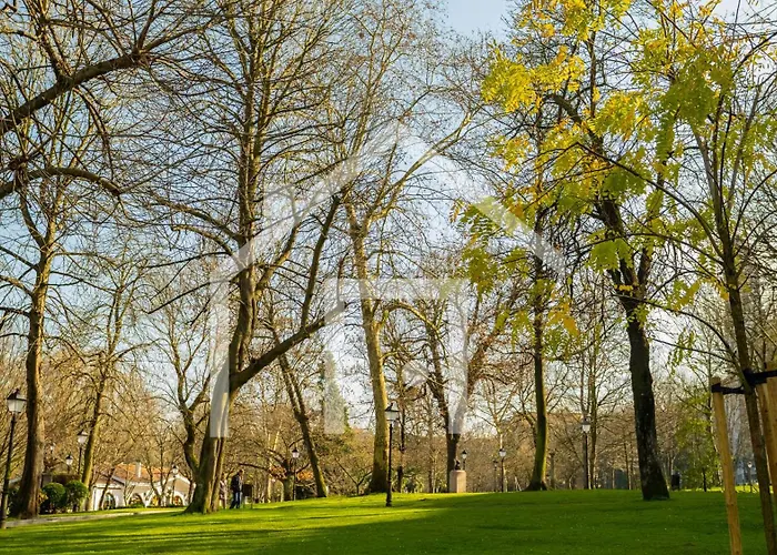 Vetusta Independencia Oviedo